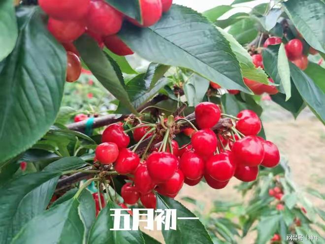 一最不能做的5件事别忘了告诉家人尊龙凯时链接不是迷信！明日五月初(图3)