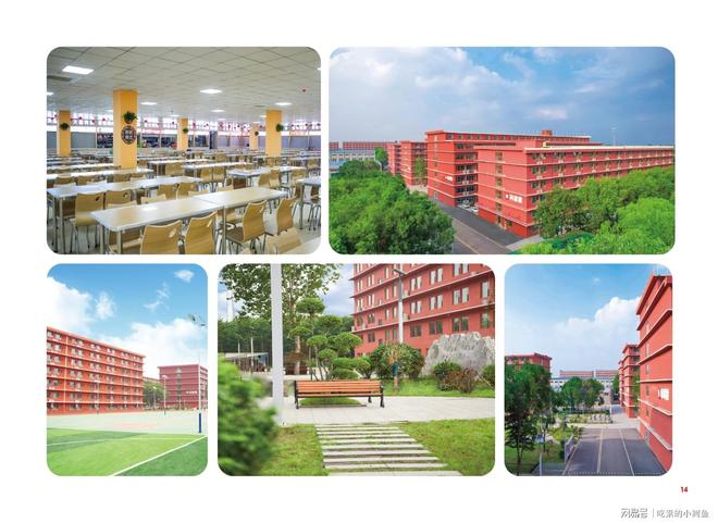 本：专注卓越品牌的教育选择尊龙凯时APP师大教育专升(图15)