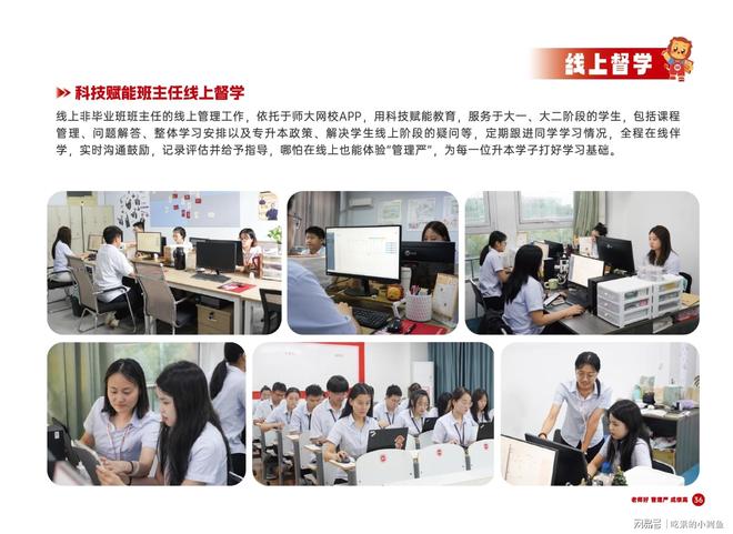 本：专注卓越品牌的教育选择尊龙凯时APP师大教育专升(图18)