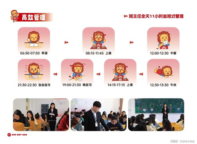 本：专注卓越品牌的教育选择尊龙凯时APP师大教育专升(图17)
